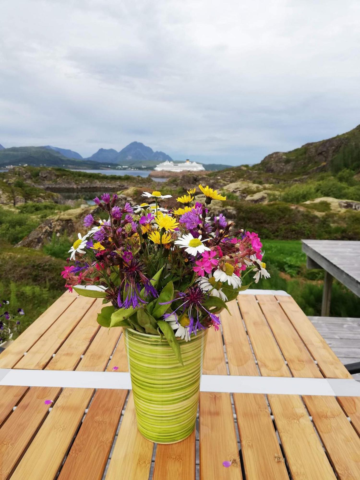 Unique Private Cabin In Lofoten Leknes Kültér fotó