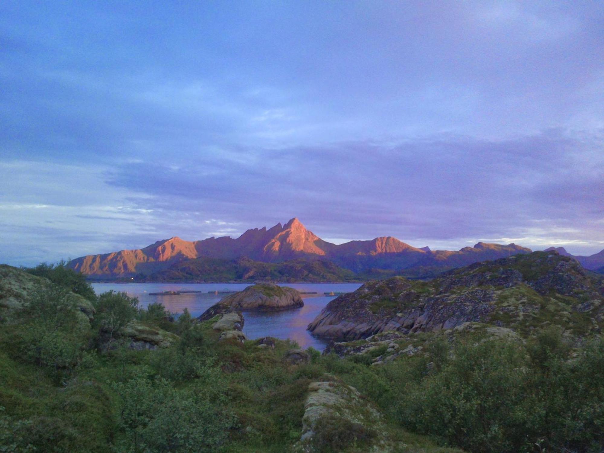 Unique Private Cabin In Lofoten Leknes Kültér fotó