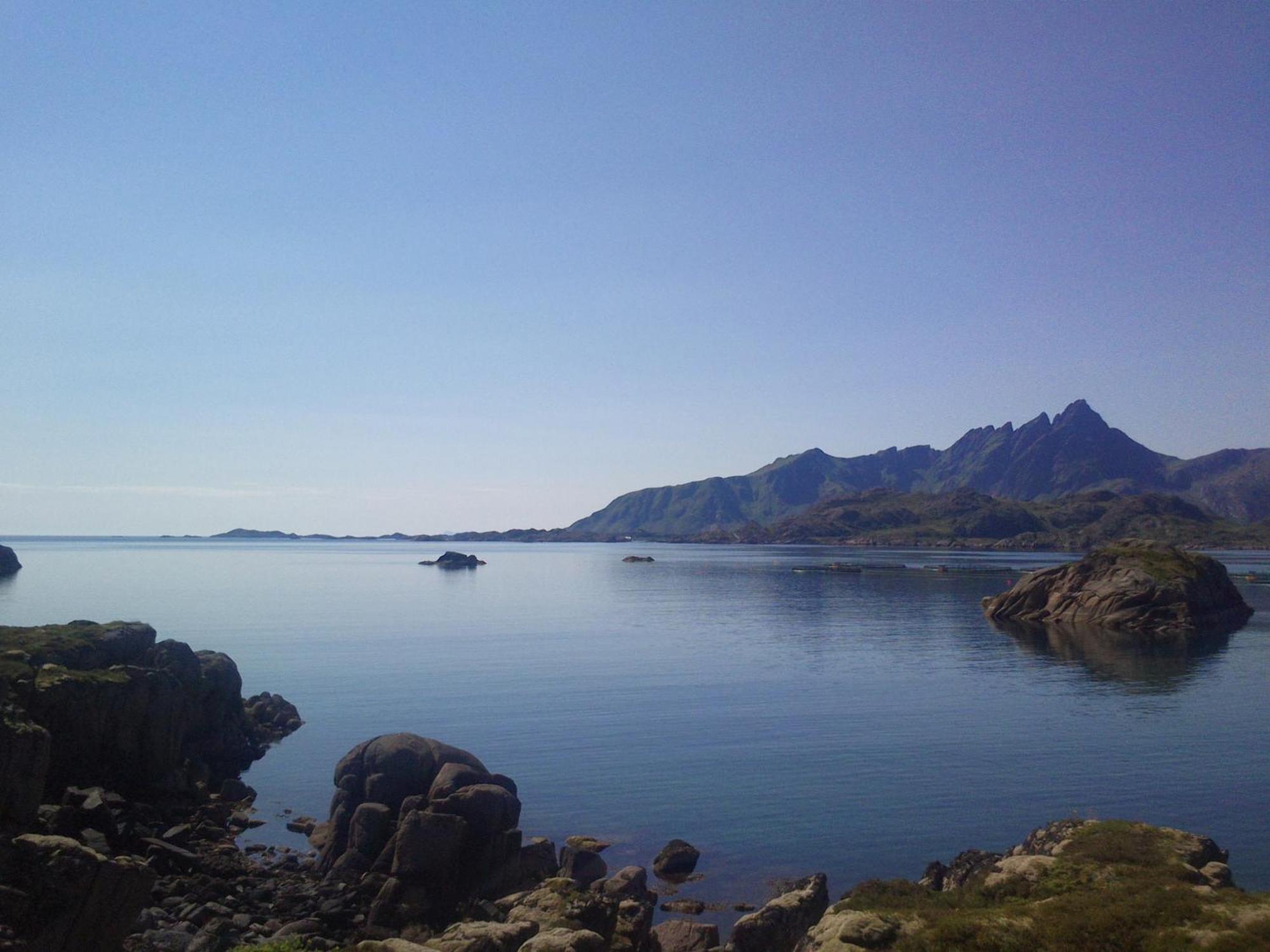 Unique Private Cabin In Lofoten Leknes Kültér fotó